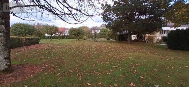 Viager maison Saints-Geosmes 52200 Haute-Marne 148 m2 8 pièces 80000 euros