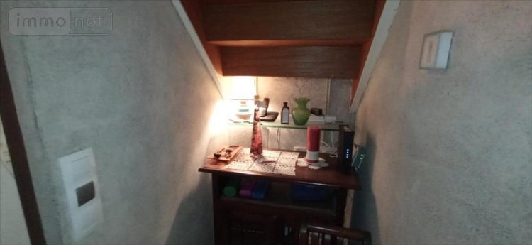 Viager maison Saints-Geosmes 52200 Haute-Marne 148 m2 8 pièces 80000 euros