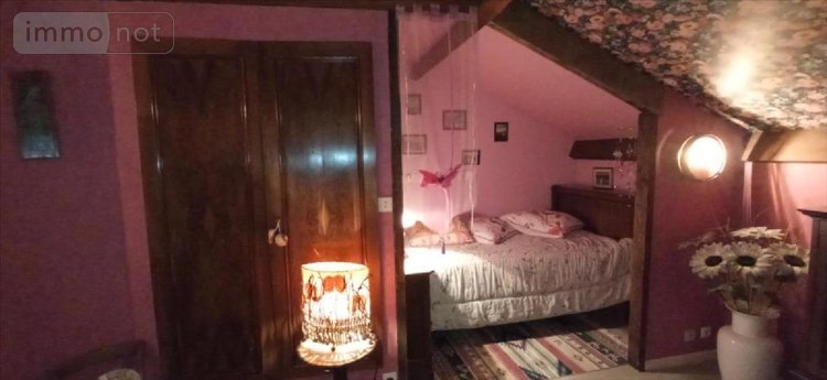 Viager maison Saints-Geosmes 52200 Haute-Marne 148 m2 8 pièces 80000 euros