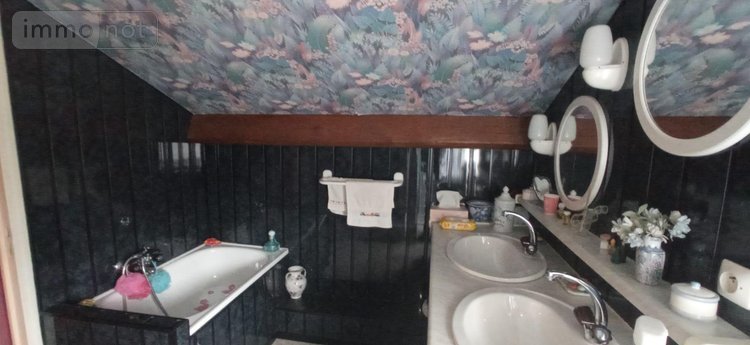 Viager maison Saints-Geosmes 52200 Haute-Marne 148 m2 8 pièces 80000 euros