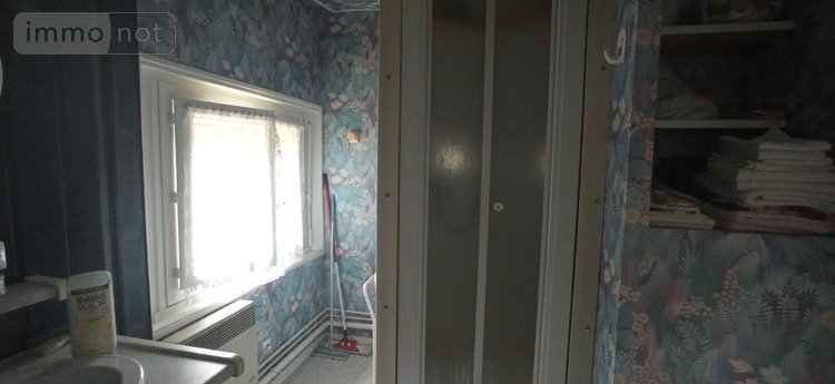 Viager maison Saints-Geosmes 52200 Haute-Marne 148 m2 8 pièces 80000 euros