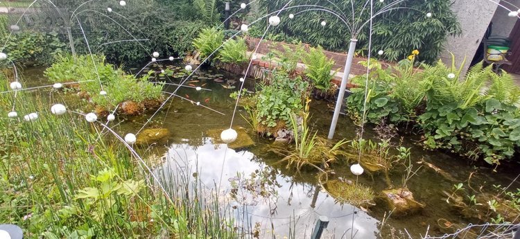 Viager maison Saints-Geosmes 52200 Haute-Marne 148 m2 8 pièces 80000 euros