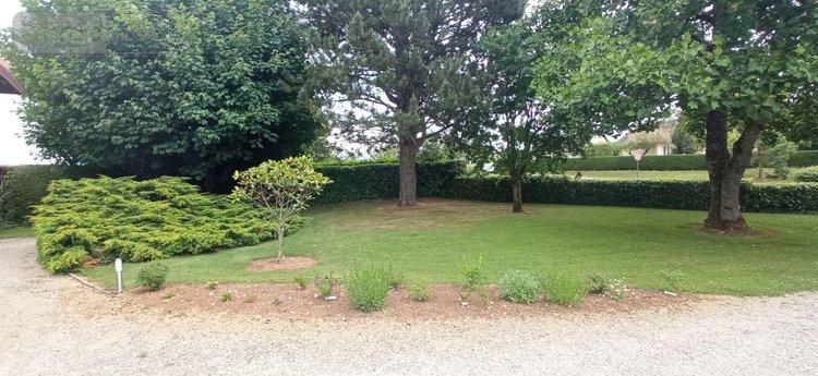 Viager maison Saints-Geosmes 52200 Haute-Marne 148 m2 8 pièces 80000 euros