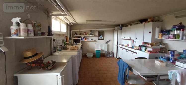 Viager maison Saints-Geosmes 52200 Haute-Marne 148 m2 8 pièces 80000 euros