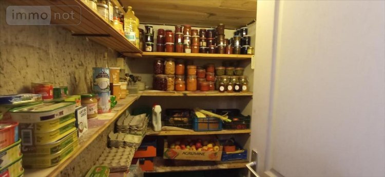 Viager maison Saints-Geosmes 52200 Haute-Marne 148 m2 8 pièces 80000 euros