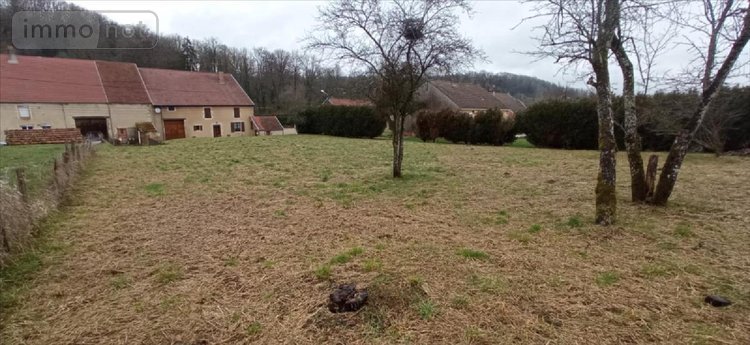 Terrain a batir a vendre Villegusien-le-Lac 52190 Haute-Marne 1056 m2  17000 euros
