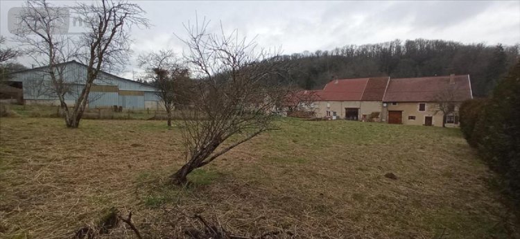 Terrain a batir a vendre Villegusien-le-Lac 52190 Haute-Marne 1056 m2  17000 euros