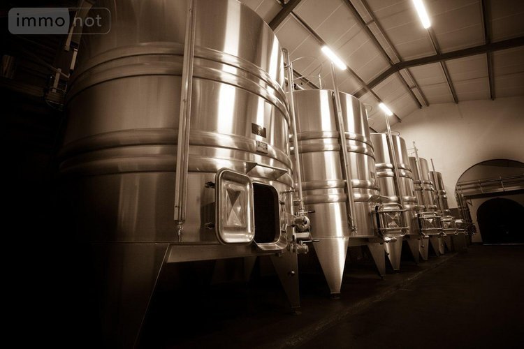 propriete viticole a vendre Podensac 33720 Gironde  12500000 euros