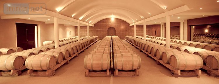 propriete viticole a vendre Podensac 33720 Gironde  12500000 euros