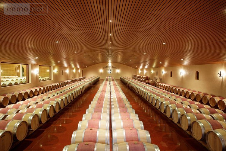 propriete viticole a vendre Podensac 33720 Gironde  12500000 euros