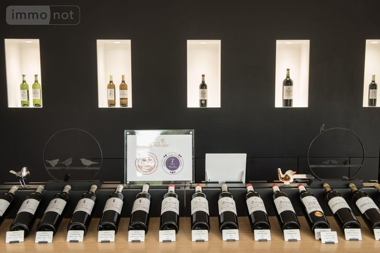 propriete viticole a vendre Podensac 33720 Gironde  12500000 euros