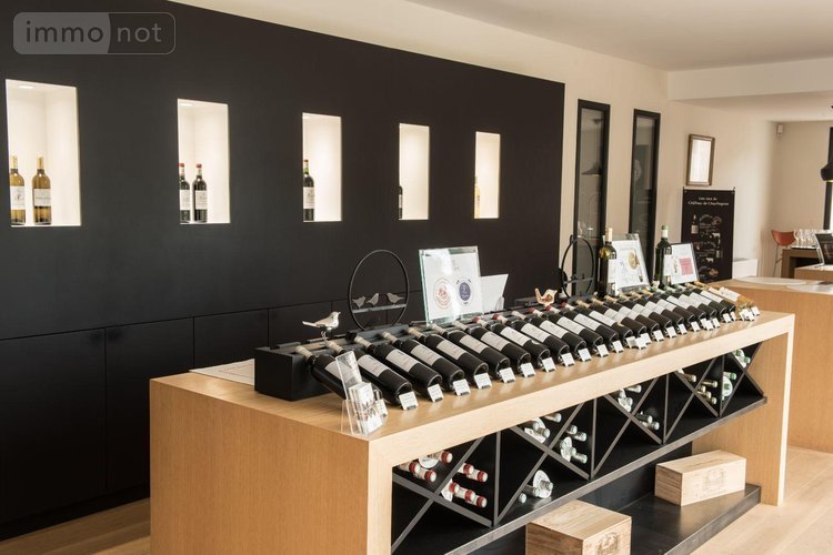 propriete viticole a vendre Podensac 33720 Gironde  12500000 euros