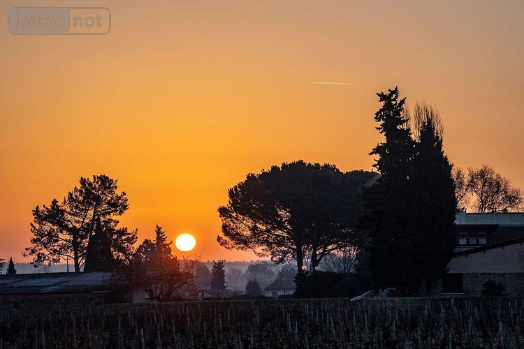 propriete viticole a vendre Podensac 33720 Gironde  12500000 euros