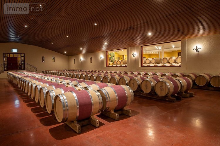 propriete viticole a vendre Podensac 33720 Gironde  12500000 euros