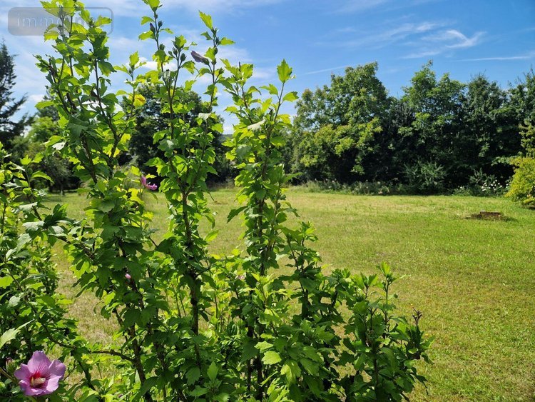 propriete a vendre Montier-en-l'Isle 10200 Aube 218 m2 8 pièces 299900 euros