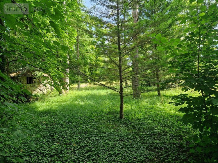 propriete a vendre Montier-en-l'Isle 10200 Aube 218 m2 8 pièces 299900 euros