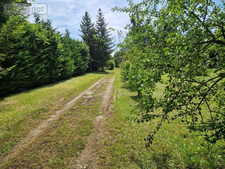 propriete a vendre Montier-en-l'Isle 10200 Aube 218 m2 8 pièces 299900 euros