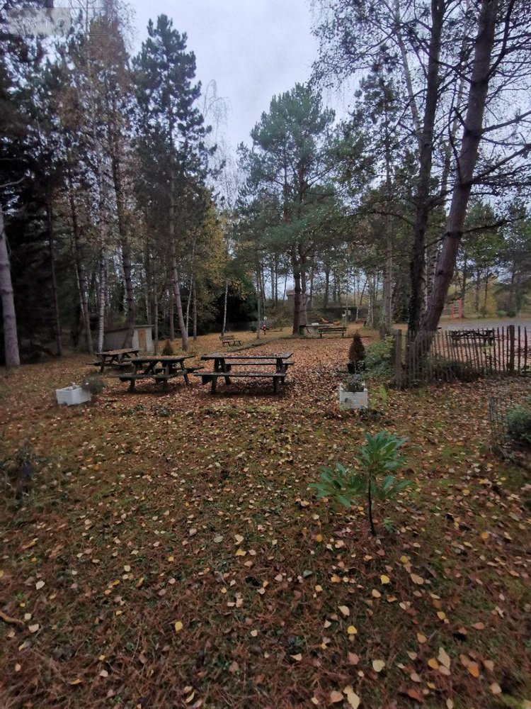 Terrains de loisirs bois etangs a vendre Vailly-sur-Aisne 02370 Aisne 11600 m2  183750 euros