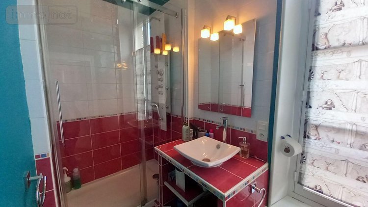 Maison a vendre Le Mans 72000 Sarthe 300 m2  775000 euros