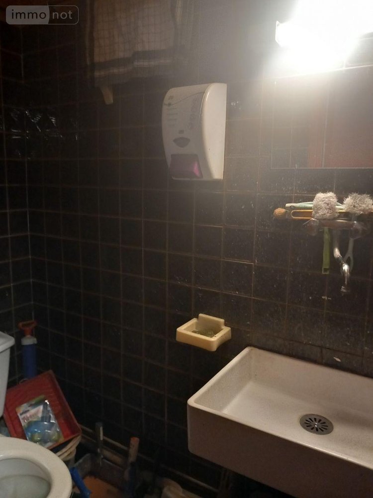 Immeuble a vendre Murat 15300 Cantal  147150 euros