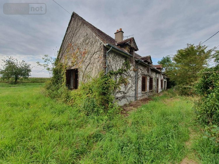 Maison a vendre Bléneau 89220 Yonne 82 m2 4 pièces 85000 euros