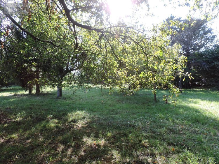Terrains de loisirs bois etangs a vendre Aubigné-Racan 72800 Sarthe 2770 m2  23600 euros