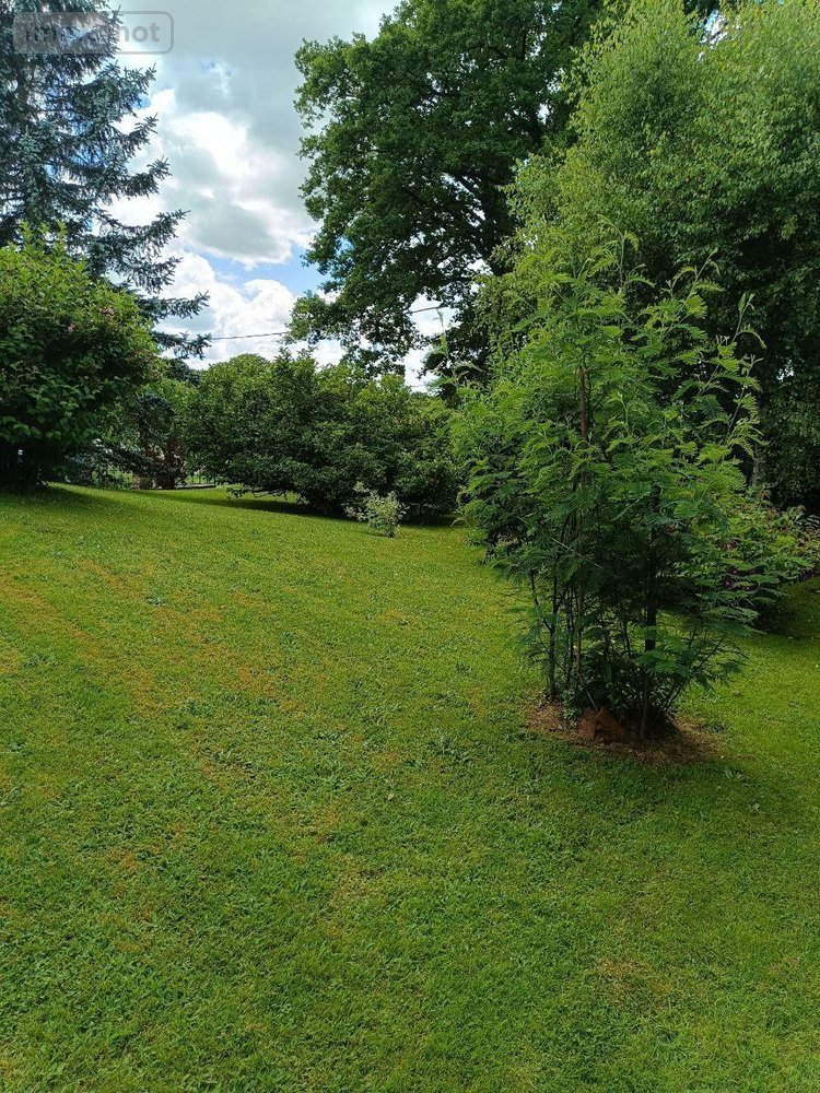 Viager maison Rilhac-Rancon 87570 Haute-Vienne 94 m2 4 pièces 63300 euros