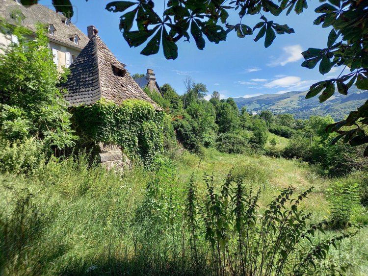 Maison a vendre Thiézac 15800 Cantal 228 m2  336000 euros