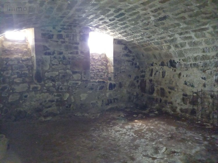 Maison a vendre Thiézac 15800 Cantal 228 m2  336000 euros