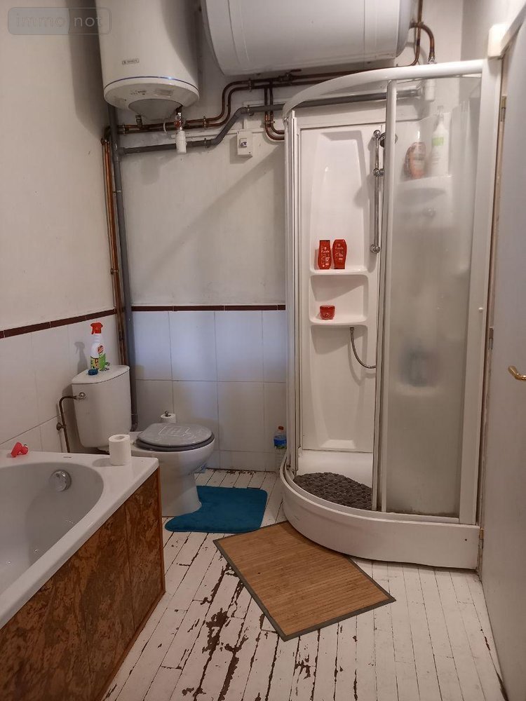 Maison a vendre Thiézac 15800 Cantal 228 m2  336000 euros