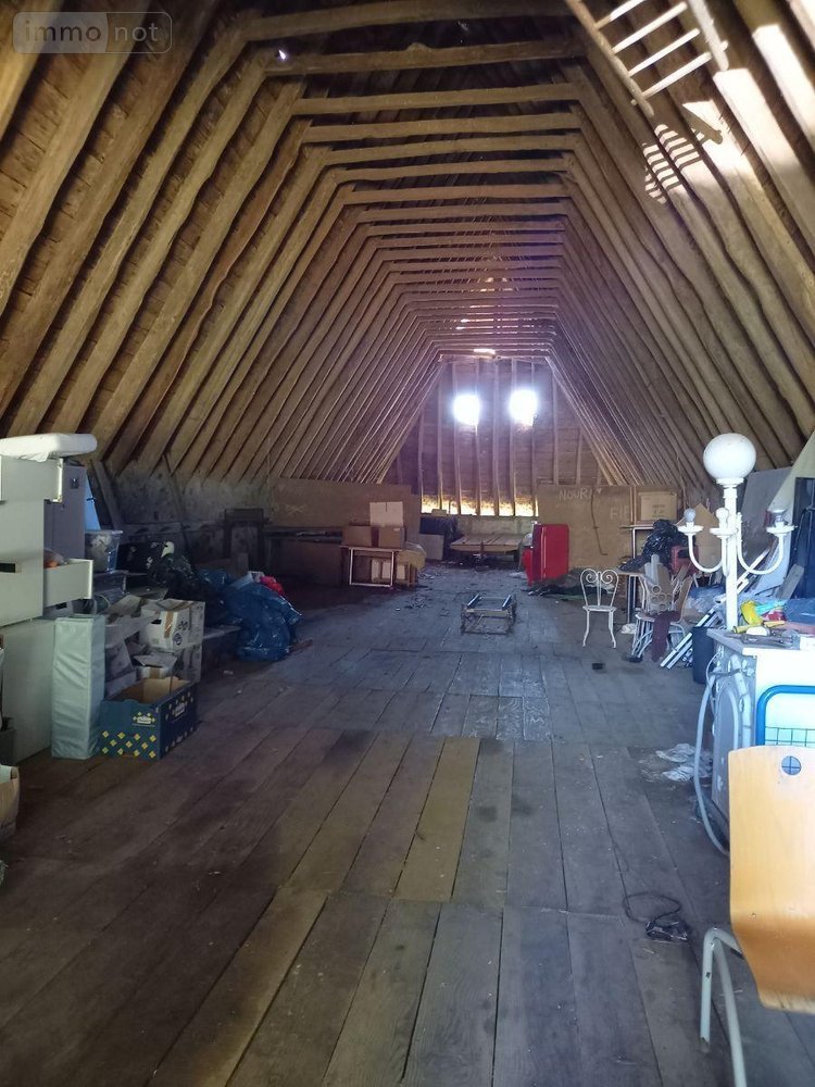 Maison a vendre Thiézac 15800 Cantal 228 m2  336000 euros