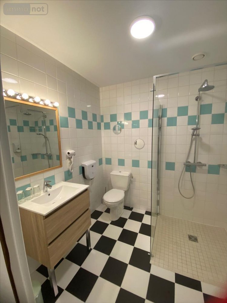 Fonds et murs commerciaux a vendre Arc-en-Barrois 52210 Haute-Marne 300 m2  436400 euros