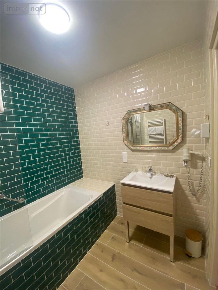 Fonds et murs commerciaux a vendre Arc-en-Barrois 52210 Haute-Marne 300 m2  212000 euros