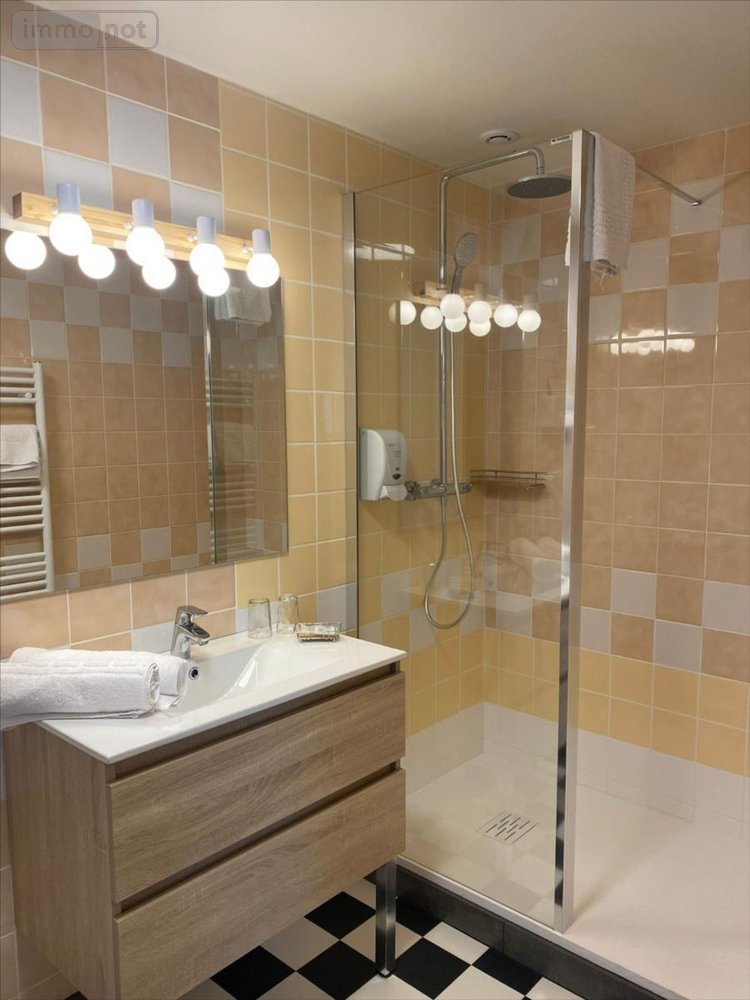 Fonds et murs commerciaux a vendre Arc-en-Barrois 52210 Haute-Marne 300 m2  436400 euros