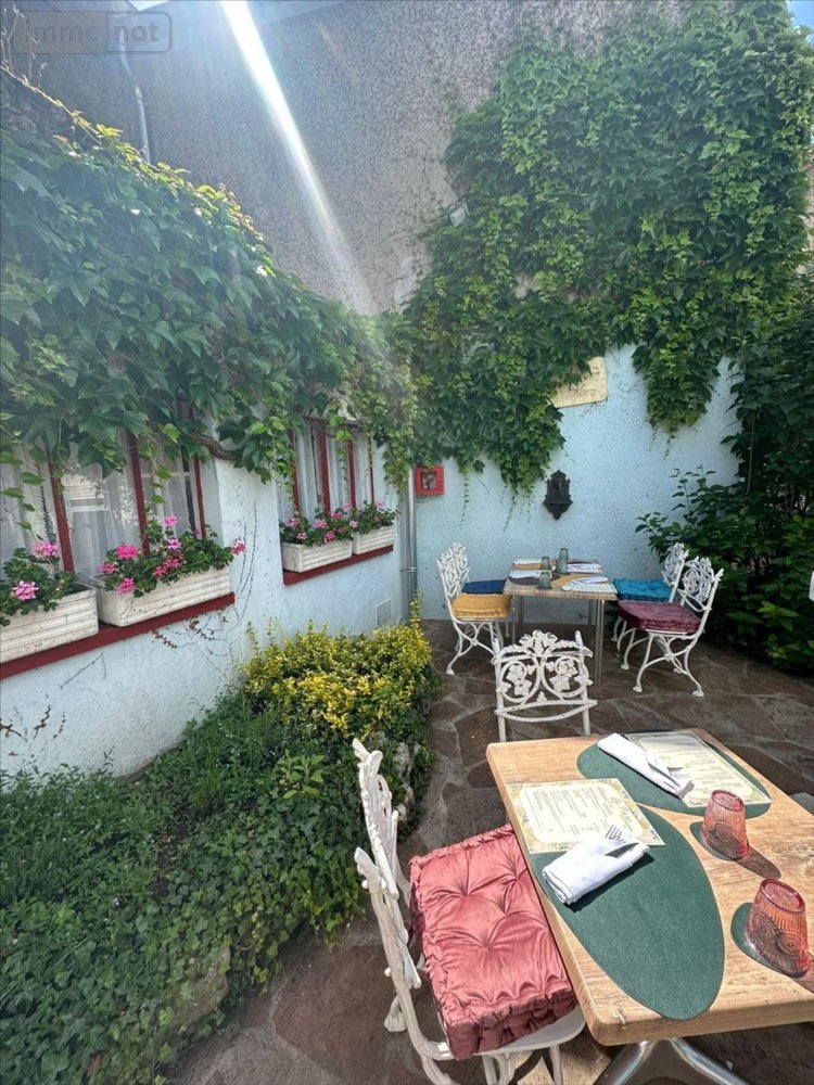 Fonds et murs commerciaux a vendre Arc-en-Barrois 52210 Haute-Marne 300 m2  212000 euros