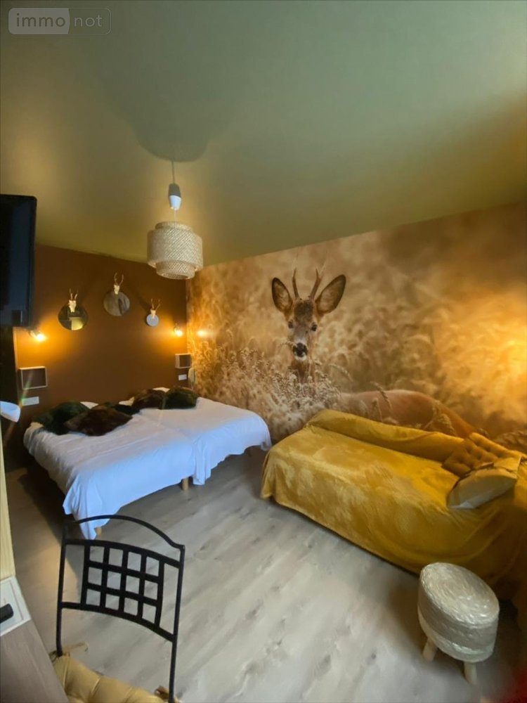 Fonds et murs commerciaux a vendre Arc-en-Barrois 52210 Haute-Marne 300 m2  436400 euros