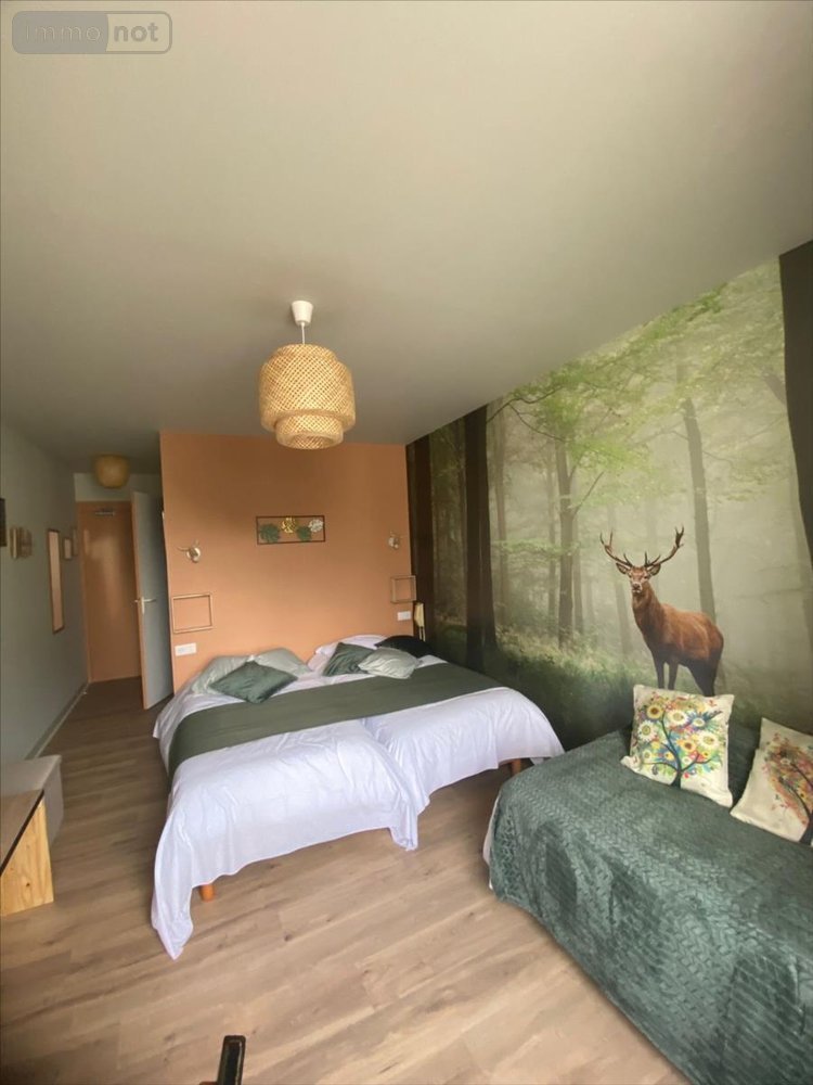 Fonds et murs commerciaux a vendre Arc-en-Barrois 52210 Haute-Marne 300 m2  212000 euros