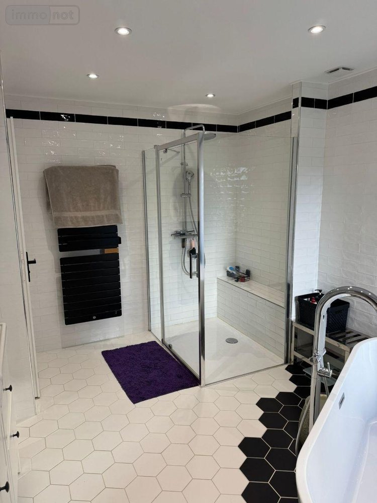 Maison a vendre Dun-le-Poëlier 36210 Indre 170 m2 6 pièces 284580 euros