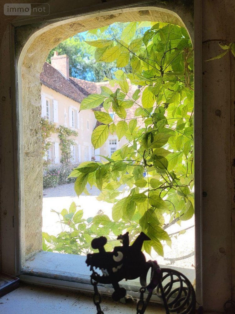 Maison a vendre Châteauroux 36000 Indre 416 m2 13 pièces 954750 euros
