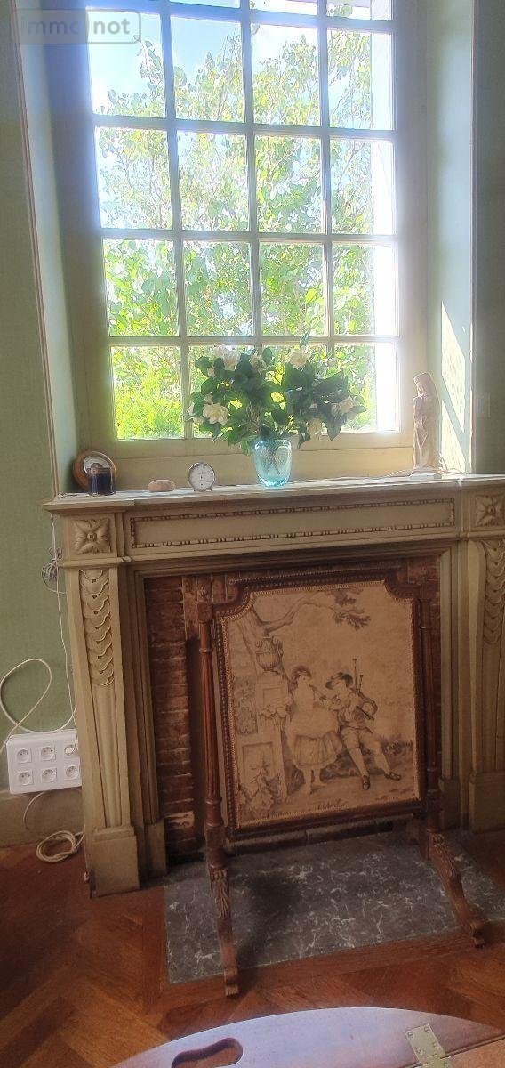 Maison a vendre Aixe-sur-Vienne 87700 Haute-Vienne 350 m2 13 pièces 345000 euros