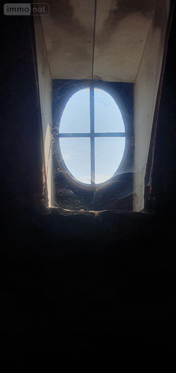 Maison a vendre Aixe-sur-Vienne 87700 Haute-Vienne 350 m2 13 pièces 350000 euros