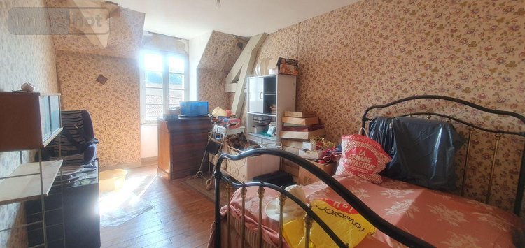 Maison a vendre Aixe-sur-Vienne 87700 Haute-Vienne 350 m2 13 pièces 345000 euros