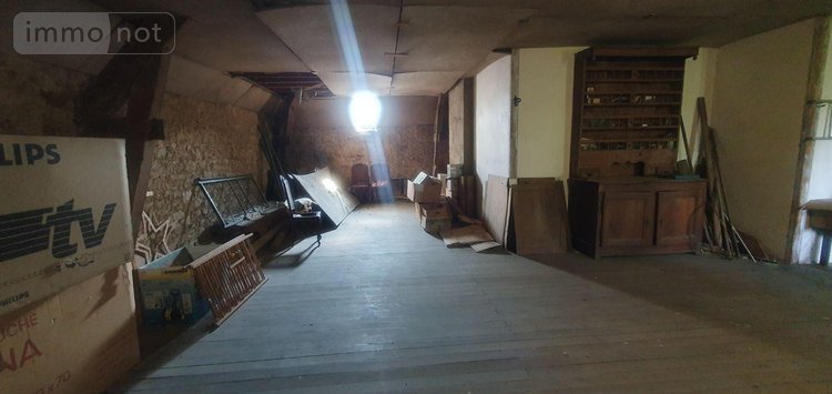 Maison a vendre Aixe-sur-Vienne 87700 Haute-Vienne 350 m2 13 pièces 350000 euros