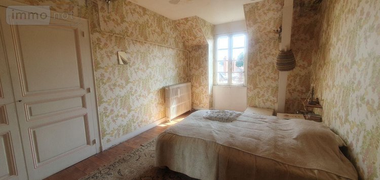 Maison a vendre Aixe-sur-Vienne 87700 Haute-Vienne 350 m2 13 pièces 350000 euros