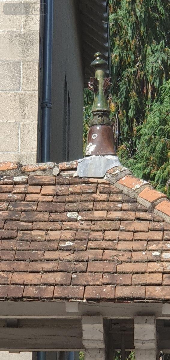 Maison a vendre Aixe-sur-Vienne 87700 Haute-Vienne 350 m2 13 pièces 345000 euros