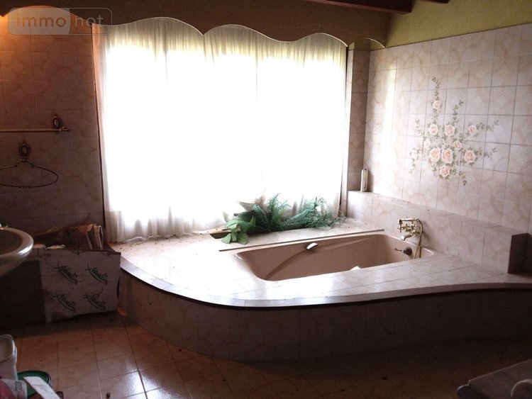 Maison a vendre Rougeou 41230 Loir-et-Cher 161 m2 4 pièces 330150 euros