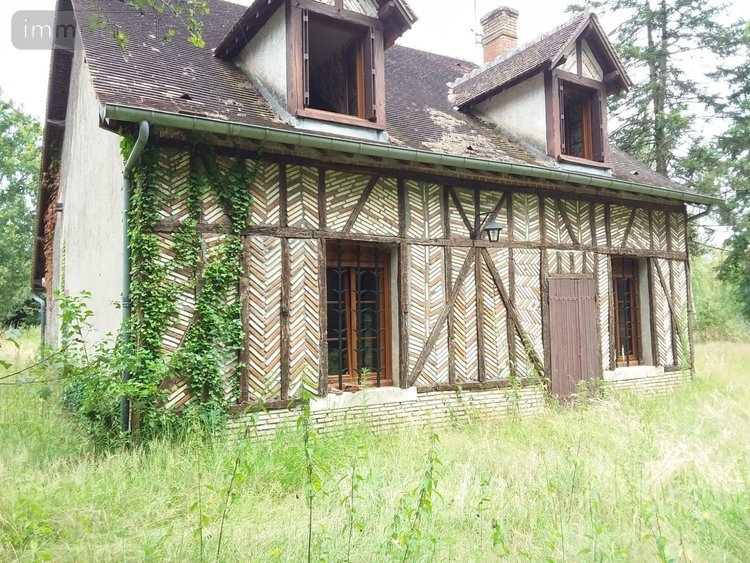 Maison a vendre Rougeou 41230 Loir-et-Cher 161 m2 4 pièces 330150 euros