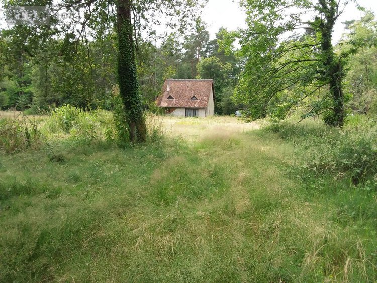 Maison a vendre Rougeou 41230 Loir-et-Cher 161 m2 4 pièces 330150 euros