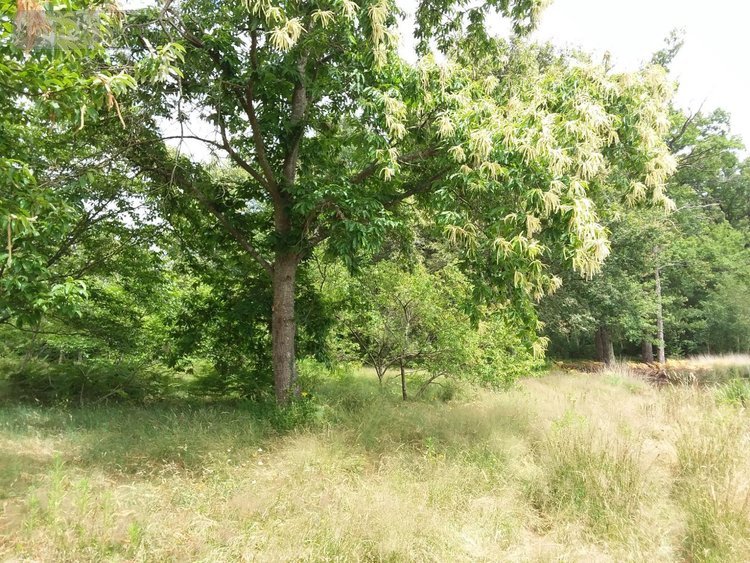 Maison a vendre Rougeou 41230 Loir-et-Cher 161 m2 4 pièces 330150 euros