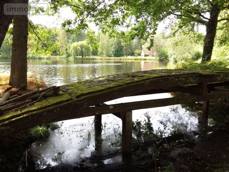 Maison a vendre Rougeou 41230 Loir-et-Cher 161 m2 4 pièces 330150 euros